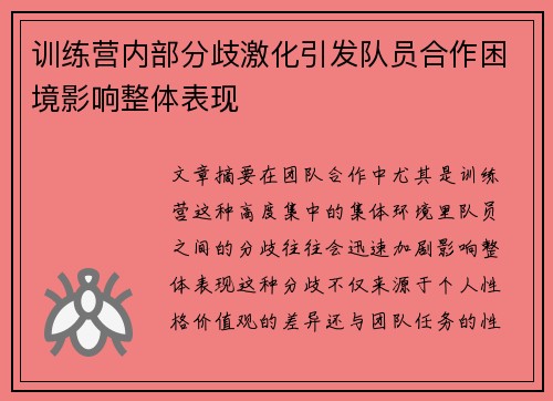 训练营内部分歧激化引发队员合作困境影响整体表现