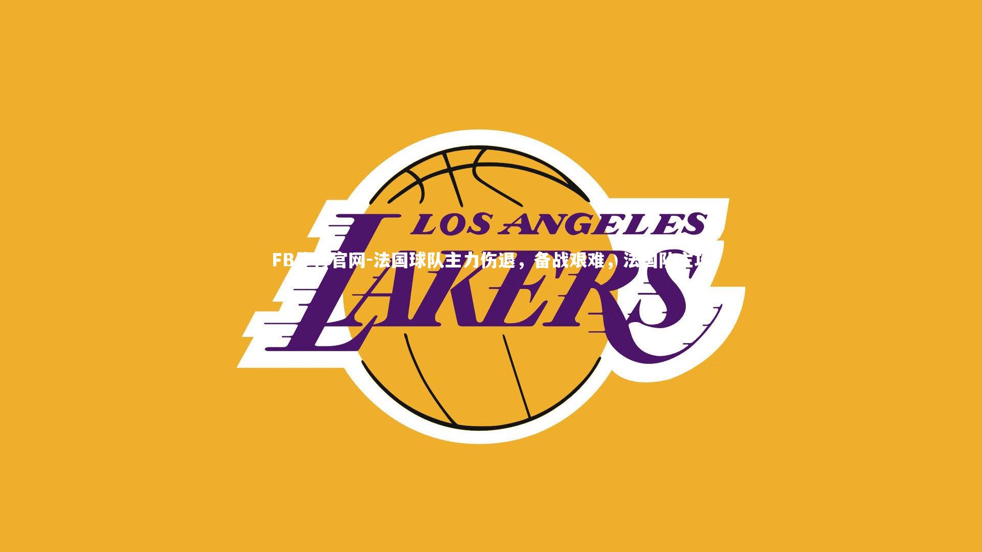 FB体育官网-法国球队主力伤退，备战艰难，法国队主攻