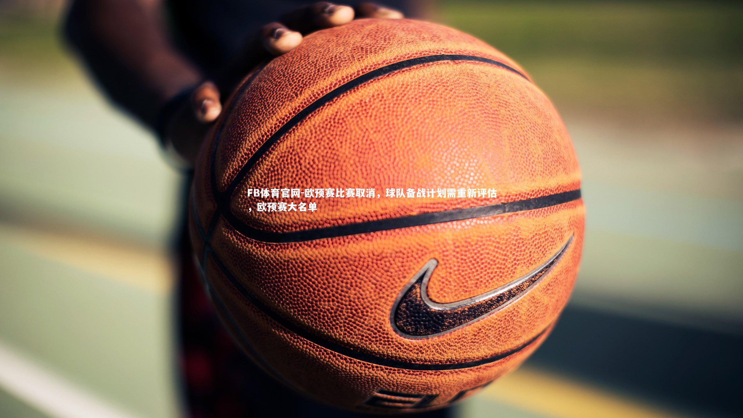 欧预赛比赛取消，球队备战计划需重新评估，欧预赛大名单