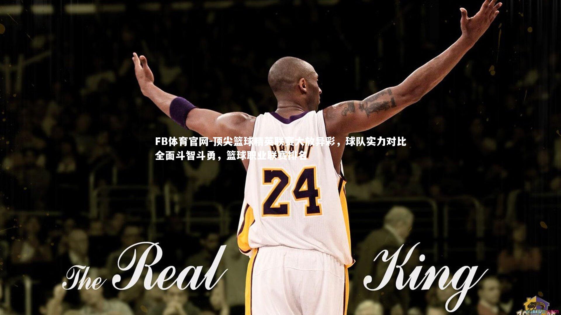 顶尖篮球精英联赛大放异彩,球队实力对比全面斗智斗勇,篮球职业联赛排名