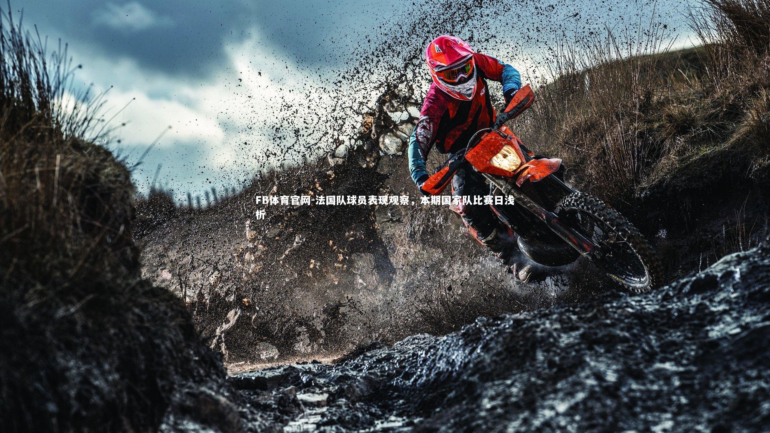 法国队球员表现观察，本期国家队比赛日浅析